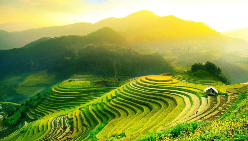 Tegallalang-Rice-Terraces-Ubud