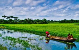 Majuli, Assam