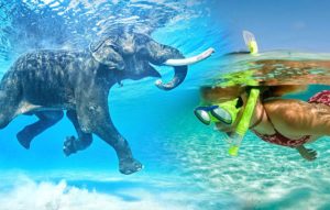 Andaman tour packages - Elephant Beach