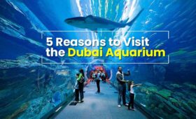 Visit the Dubai Aquarium