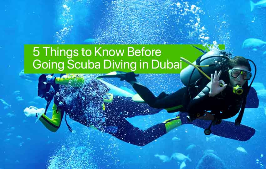 Going Scuba Diving in Dubai