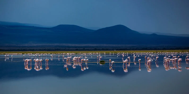 Amboseli National Park
