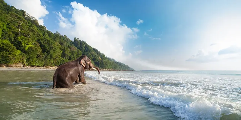 elephanta beach
