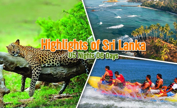 highlights of Srilanka tour packages