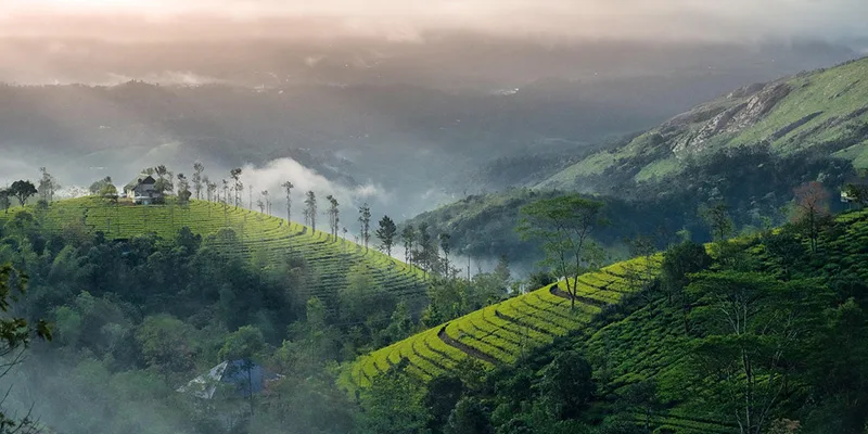 Lush Scenic Hill Station of Munnar