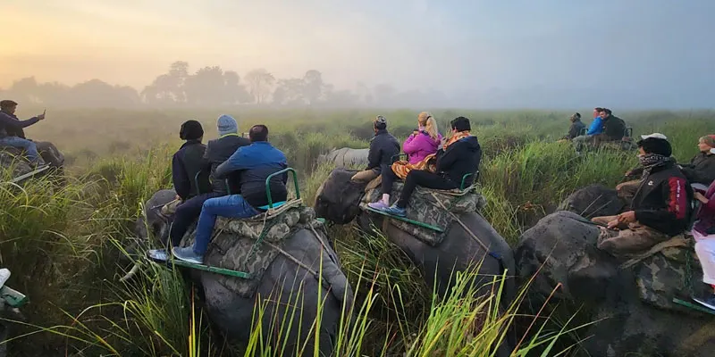 kaziranga tour