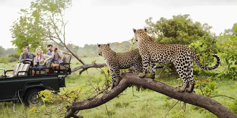 Kruger National Park
