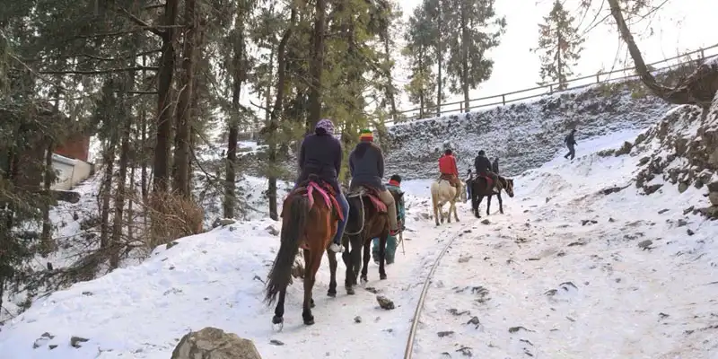 Kufri Tour
