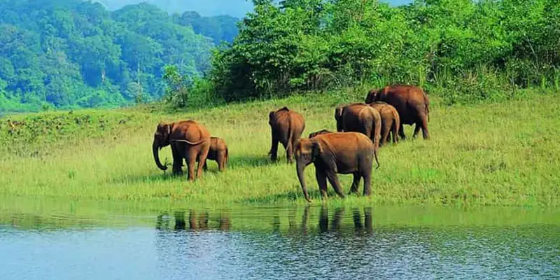 Mudumalai National Park