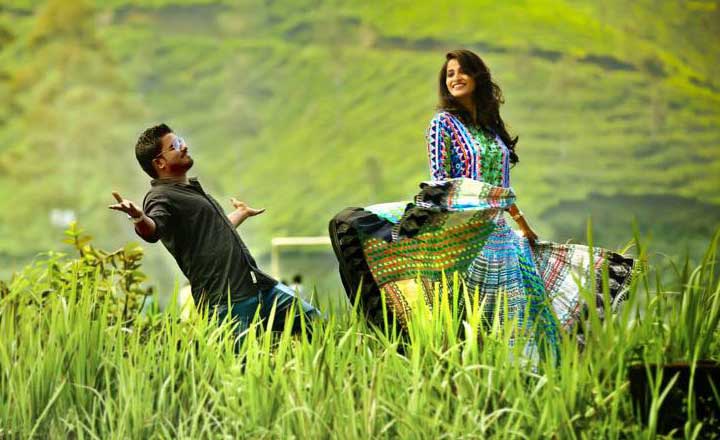 Munnar Honeymoon Tour