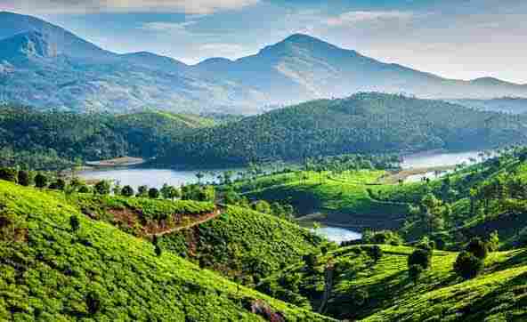 munnar Tour