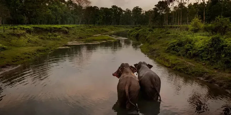 Nameri National Park, Assam