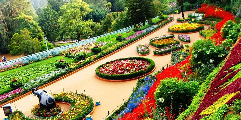ooty botanical garden