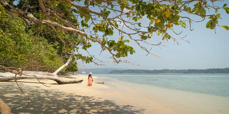 Ross island 