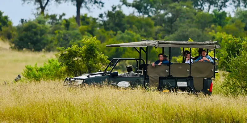 safari garden route game lodge