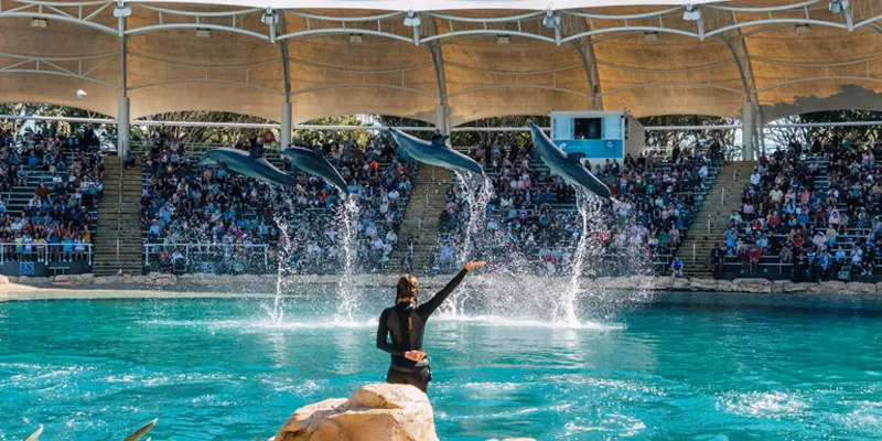 Sea World Gold Coast