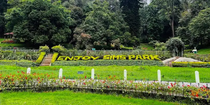 Sims playground Coonoor