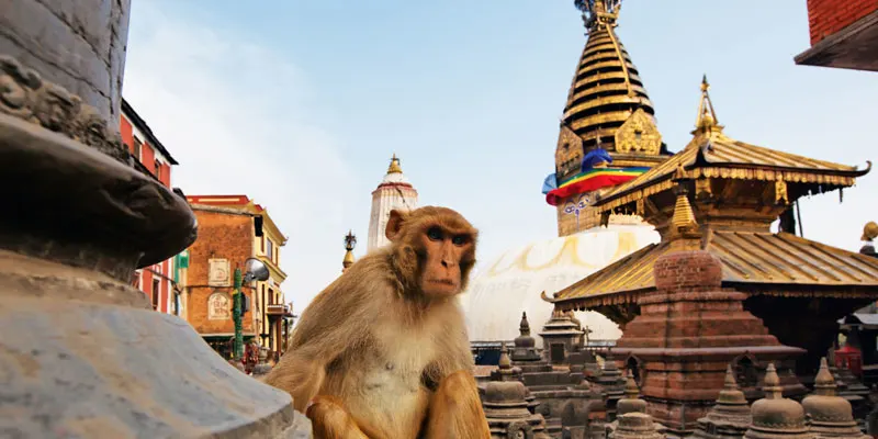 pashupatinath temple