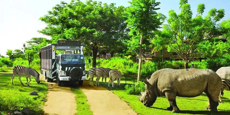 Vinpearl Safari Phu Quoc