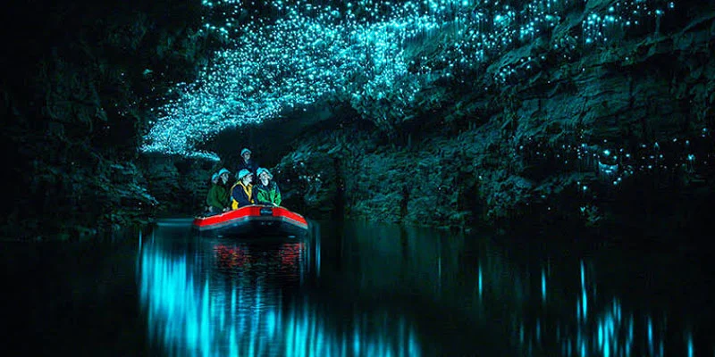 waitomo tour