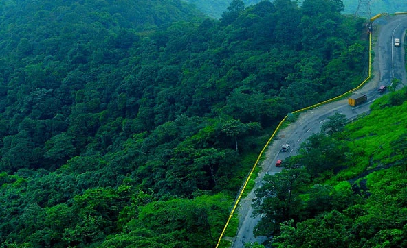 Wayanad, Green Paradise, Tourist Destination, District, Kerala, India