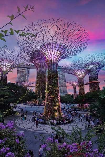 Gardens by the Bay