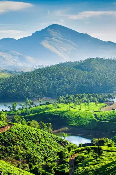 Munnar is a picturesque hill station nestled in the Western Ghats of Kerala