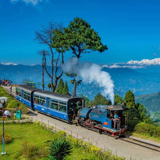 Darjeeling Tour