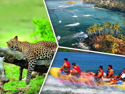 Highlights of Sri Lanka 05 Nights 06 Days