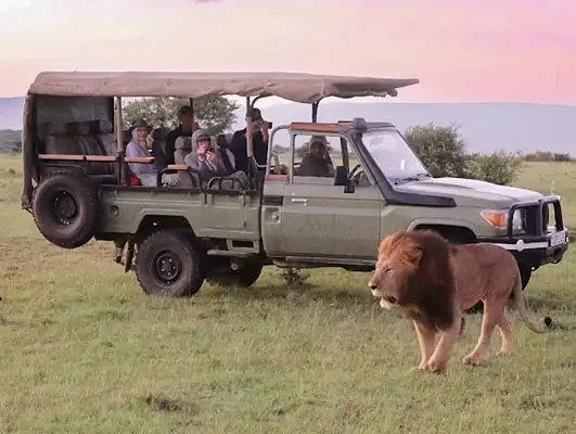 Kili Safari Kenya & Tanzania Packages