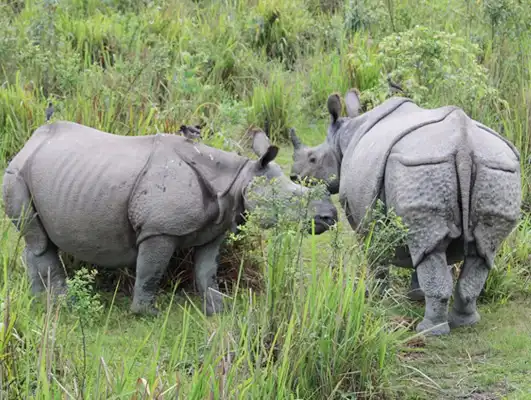 Meghalaya With Kaziranga