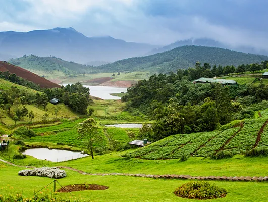 Ooty, Mysore & Coorg Tour