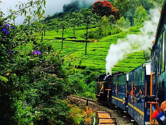 Ooty & Wayanad Tour With Toy Train 